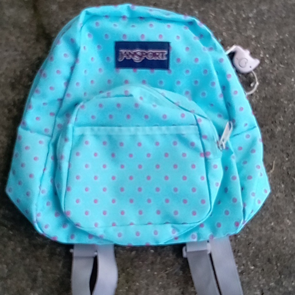 Jansport mini backpack